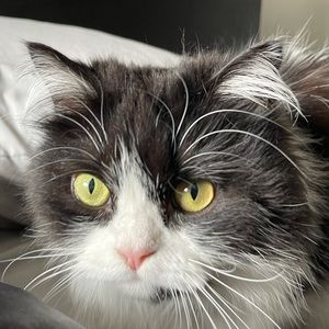 Meet your Posher, Matthew